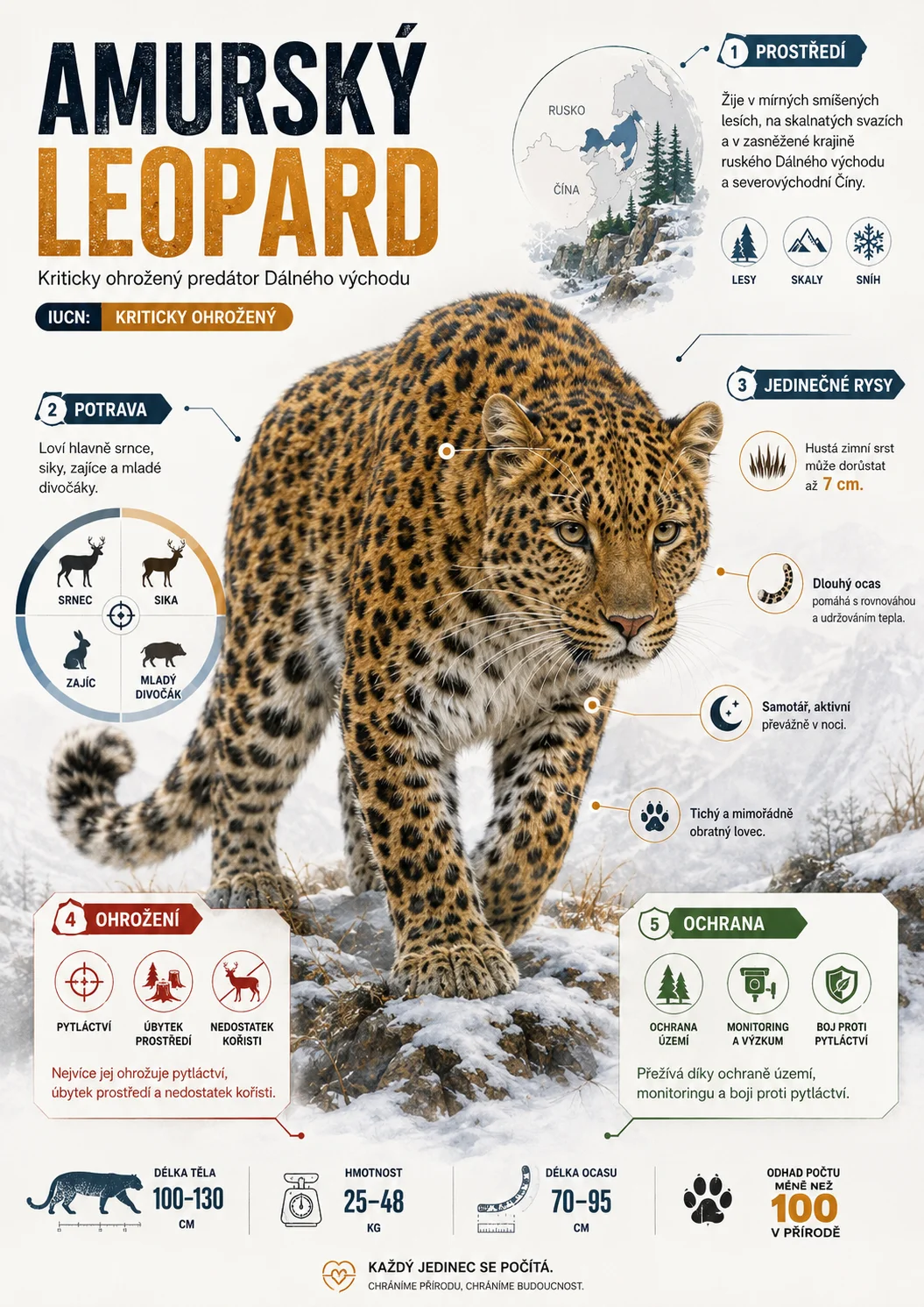 Ukázka projektu Ilustrace — Leopard